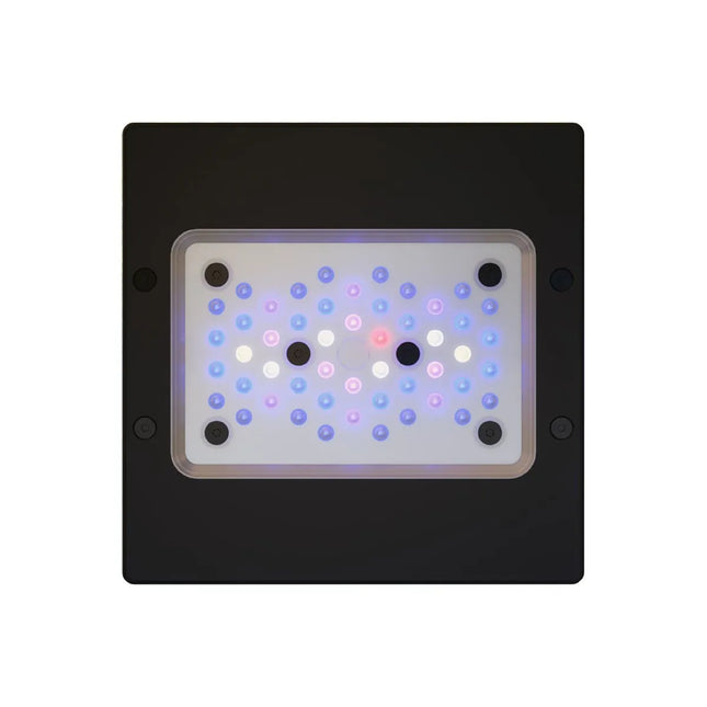 EcoTech Marine - EcoTech Marine - Radion XR15 Blue G6 LED Light - Reefamorous
