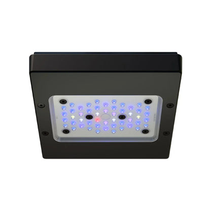 EcoTech Marine - EcoTech Marine - Radion XR15 Blue G6 LED Light - Reefamorous