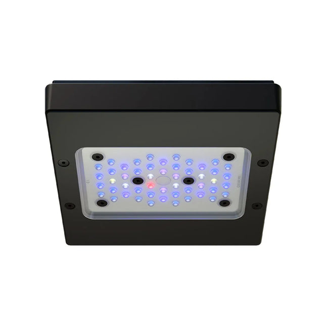 EcoTech Marine - EcoTech Marine - Radion XR15 Blue G6 LED Light - Reefamorous