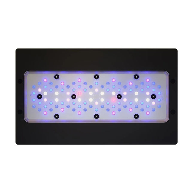 EcoTech Marine - Radion XR30 G6 Blue LED Light Fixture - Reefamorous