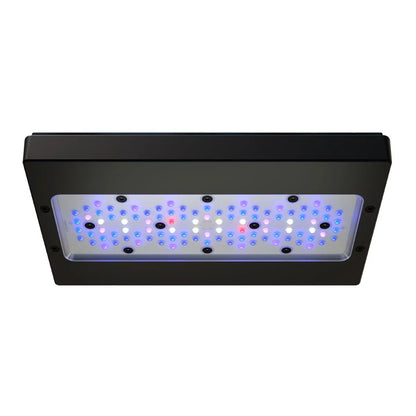 EcoTech Marine - Radion XR30 G6 Blue LED Light Fixture - Reefamorous