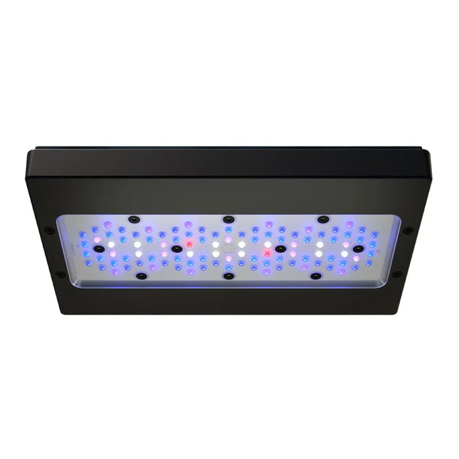 EcoTech Marine - Radion XR30 G6 Blue LED Light Fixture - Reefamorous
