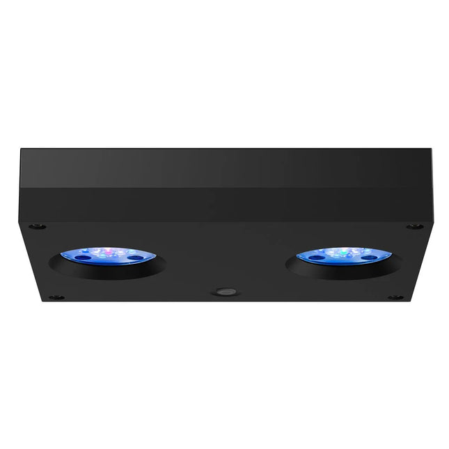 Aqua Illumination - Aqua Illumination - AI Hydra 32 HD Led Light - Black - Reefamorous