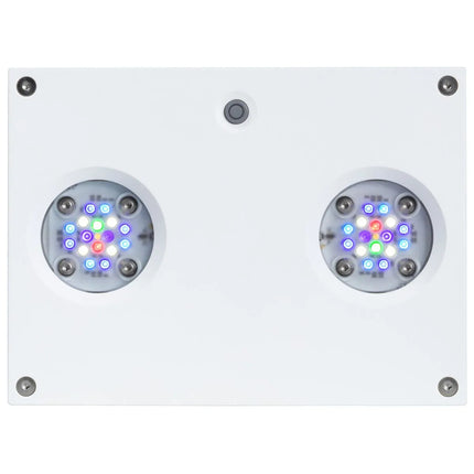 Aqua Illumination - Aqua Illumination - AI Hydra 32 HD Led Light - White - Reefamorous
