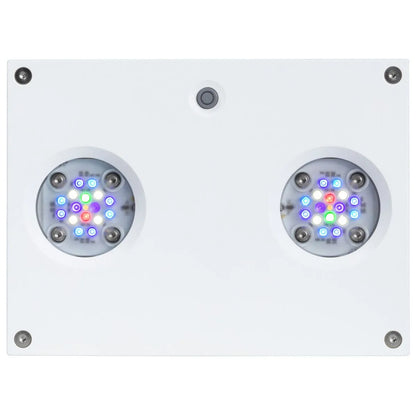 Aqua Illumination - Aqua Illumination - AI Hydra 32 HD Led Light - White - Reefamorous