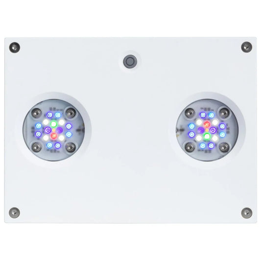 Aqua Illumination - Aqua Illumination - AI Hydra 32 HD Led Light - White - Reefamorous