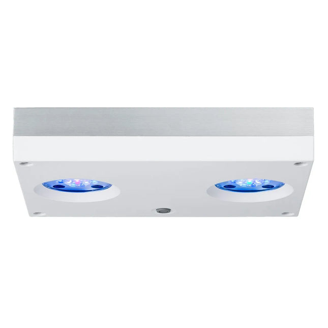 Aqua Illumination - Aqua Illumination - AI Hydra 32 HD Led Light - White - Reefamorous