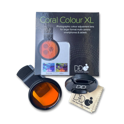 D-D - Coral Colour Lens XL - Reefamorous