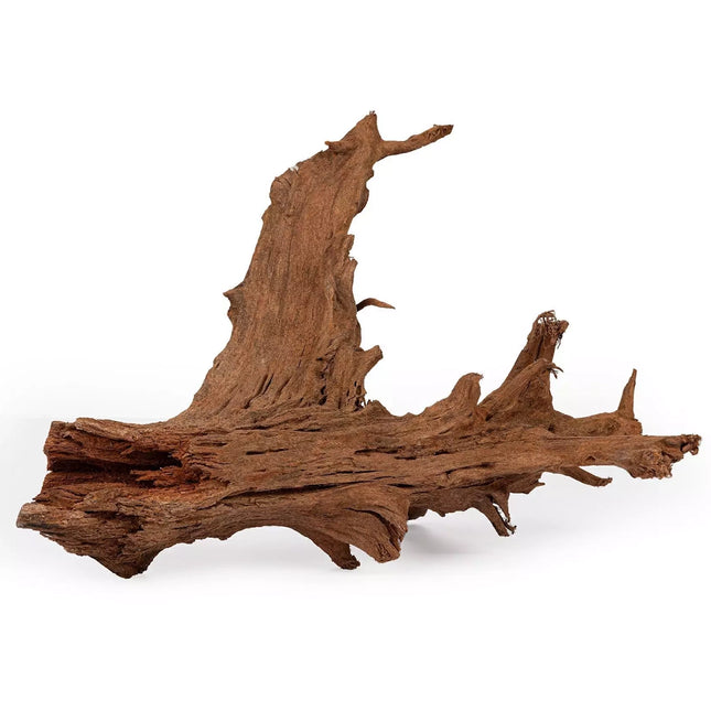 Aquarium Munster - AQUADECOR mangrove L 30 - 60 cm - Reefamorous