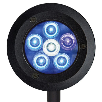 مصباح ReefBreeders Pico LED للمياه المالحة لحوض الشعاب المرجانية النانوية