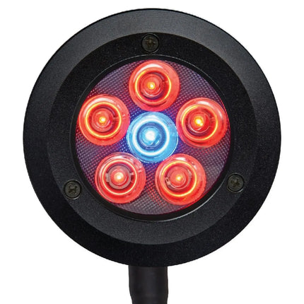 ReefBreeders - ReefBreeders - Pico Refugium LED - Reefamorous