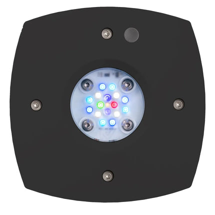 Aqua Illumination - Aqua Illumination - AI Prime 16 HD - LED Reef Light Black - Reefamorous