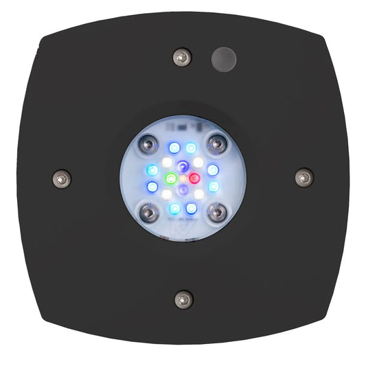 Aqua Illumination - Aqua Illumination - AI Prime 16 HD - LED Reef Light Black - Reefamorous