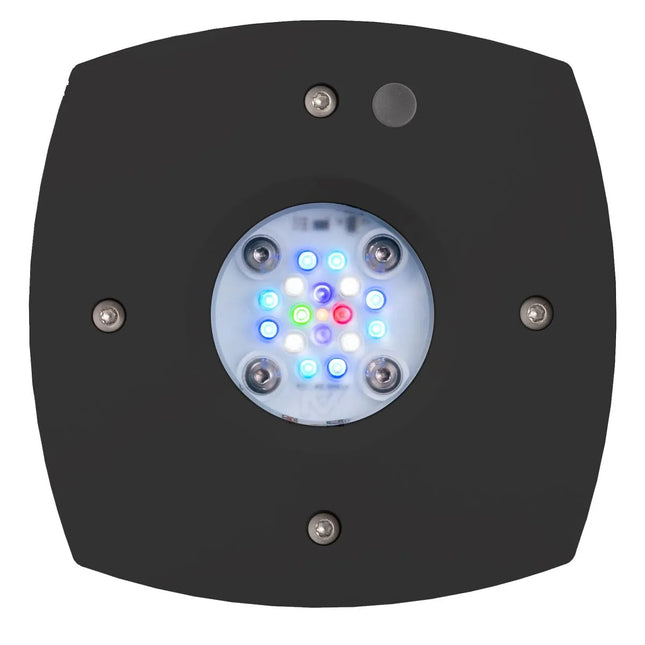 Aqua Illumination - Aqua Illumination - AI Prime 16 HD - LED Reef Light Black - Reefamorous