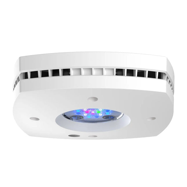Aqua Illumination - Aqua Illumination - AI Prime 16 HD - LED Reef Light White - Reefamorous