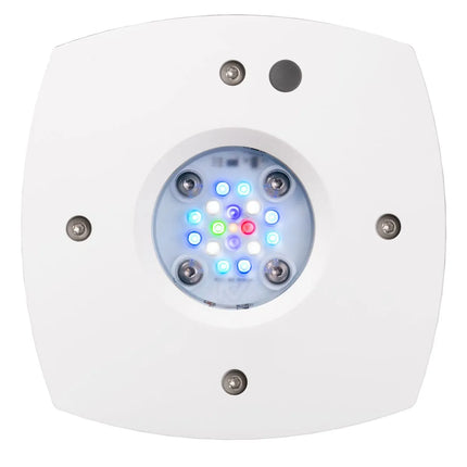 Aqua Illumination - Aqua Illumination - AI Prime 16 HD - LED Reef Light White - Reefamorous