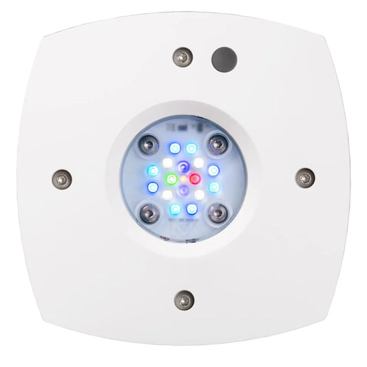 Aqua Illumination - Aqua Illumination - AI Prime 16 HD - LED Reef Light White - Reefamorous