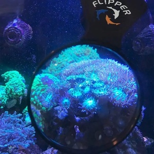 Flipper - Deepsee MAX Magnified Magnetic Viewer 5"