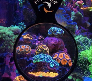 Flipper DeepSee Magnetic Aquarium Viewer 4 inches