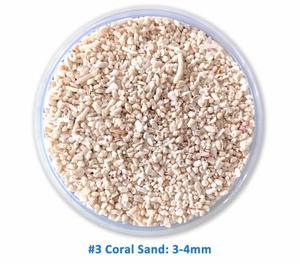 Blue Treasure - Coral Sand (2-3mm) 5Kg
