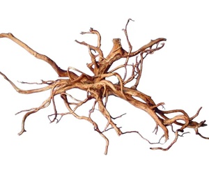 AQUADECOR red swamp root, 1 kg
