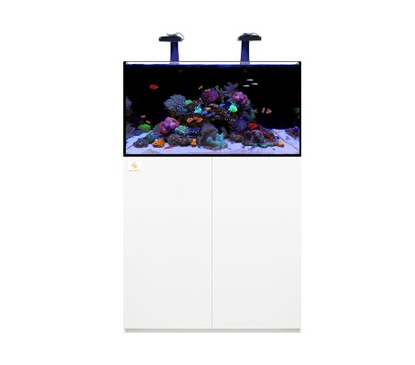 ReefAmorous Reef Pro 270 Aquarium  ( 90 cm )