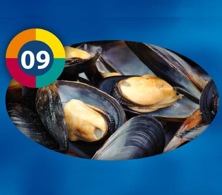 Mussel Meat Frozen Fish Food 100gm - 3F