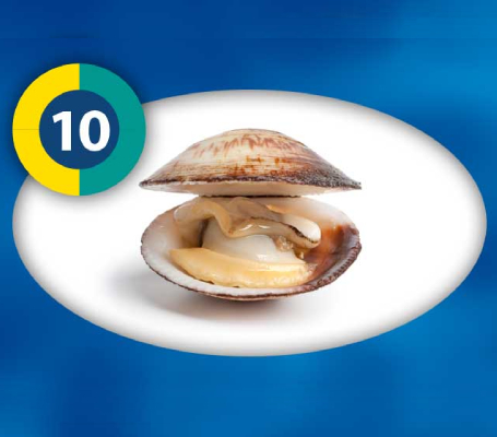 Cockles meat Frozen Fish Food 100gm - 3F
