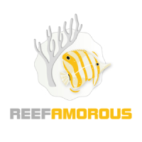 ReefAmorous