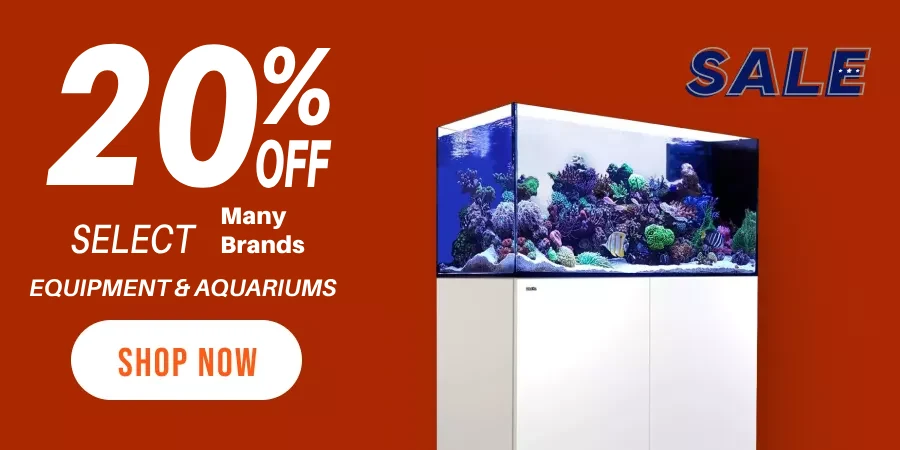 Aquarium Category