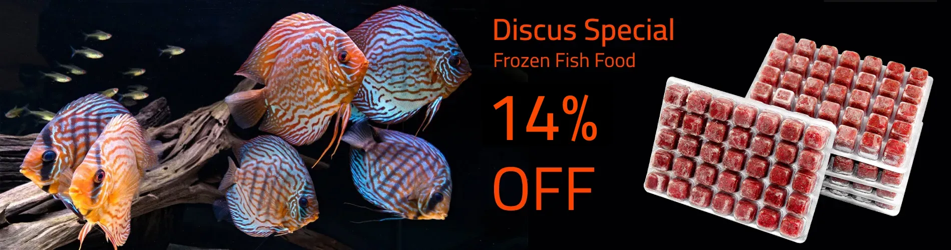 Discus Fish Food