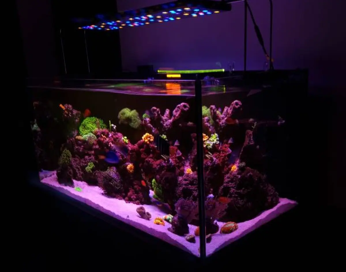 High-Tech Home Aquarium