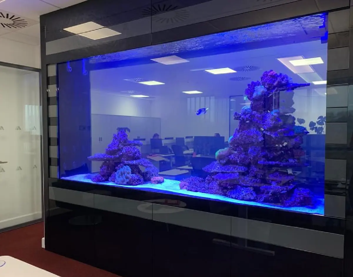 Large Reef Aquarium