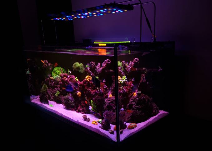 High-Tech Home Aquarium