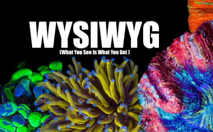 WYSWYG_Corals